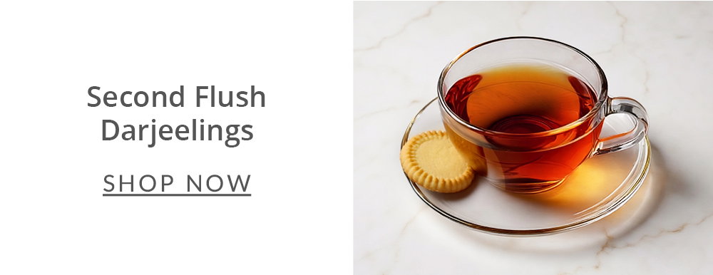 Second Flush Darjeelings, Shop Now