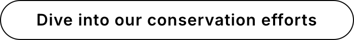 CTA