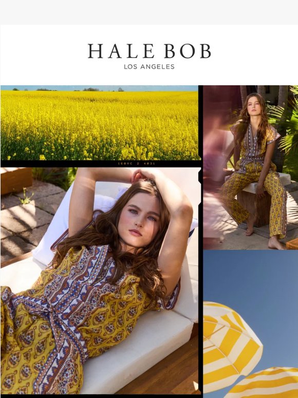 An Italian Summer in Marigold 🌻