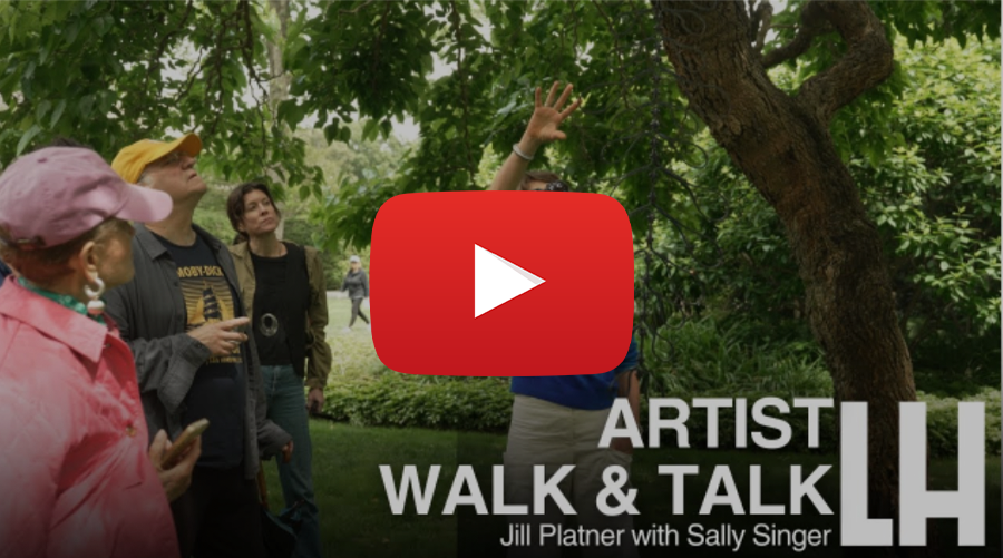 Walk and Talk