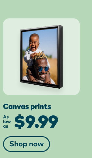 Canvas prints as low as $9.99. Shop now.