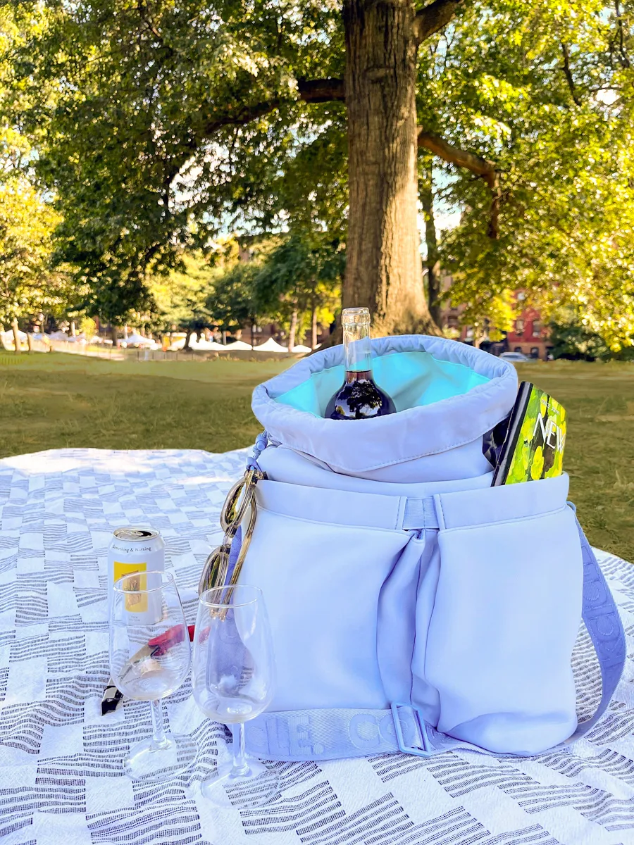 The Stylish Cooler Bag That Kept Ice Solid and Wine Chilled for 3+ Hours