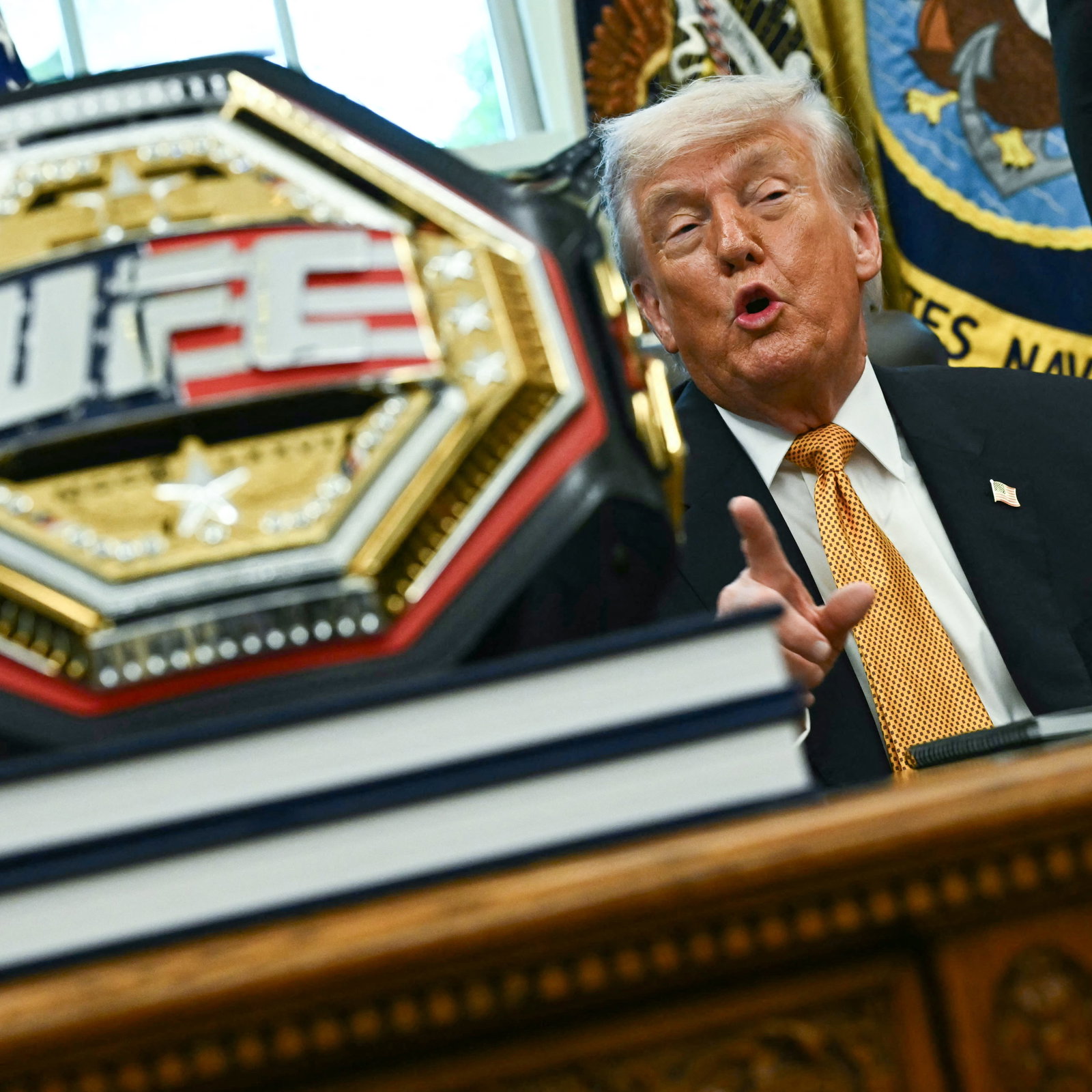 Everything You Need to Know (and Wish You Didn’t) About the UFC White House Fight