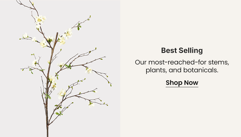 Our most-reached-for stems, plants, and botanicals.