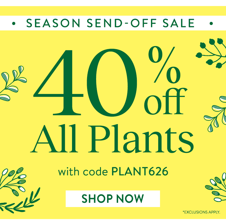 Last Call For Spring Plants