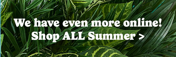 We have even more online! Shop ALL Summer >