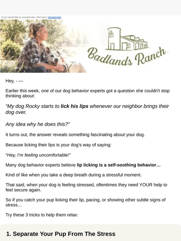 How to instantly calm your dog