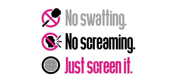 no swatting. no screaming. just screen it 
