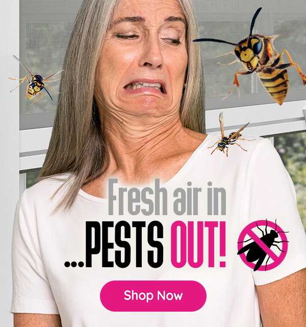 NEW PRODUCT LAUNCH - FLY SCREENS 