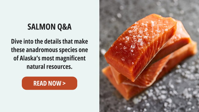 Salmon Q&A - Dive into the details that make these anadromous species one of Alaska's most magnificent natural resources. READ NOW >