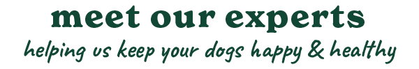 Meet our experts