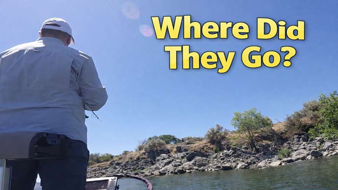 Bass Fishing Video