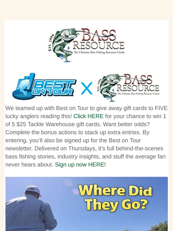 Catching Early Summer Bass - Hacks That Work