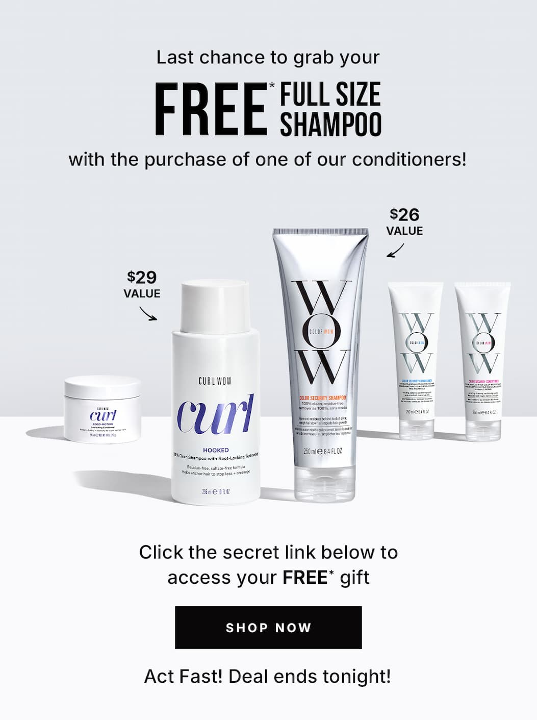 Shop Now