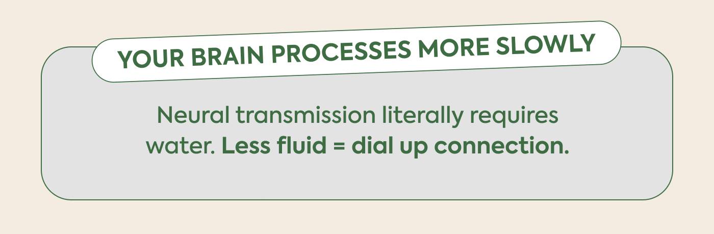 Your brain processes more slowly Neural transmission literally requires water. Less fluid = dial up connection.