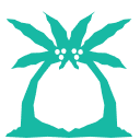 Your Caribbean playground