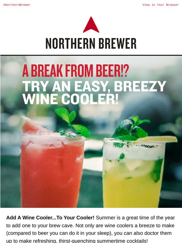 Chill Vibes: Sip-Sational Summer Coolers🍹🌞