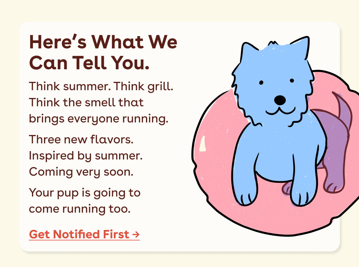 Get notified first 