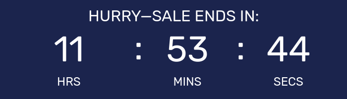 Countdown timer for Night Owl Sale.