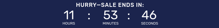 Countdown timer for Night Owl Sale.