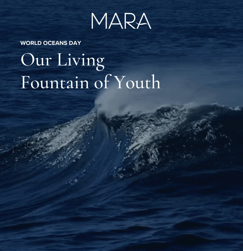 World Oceans Day Our Living Fountain of Youth