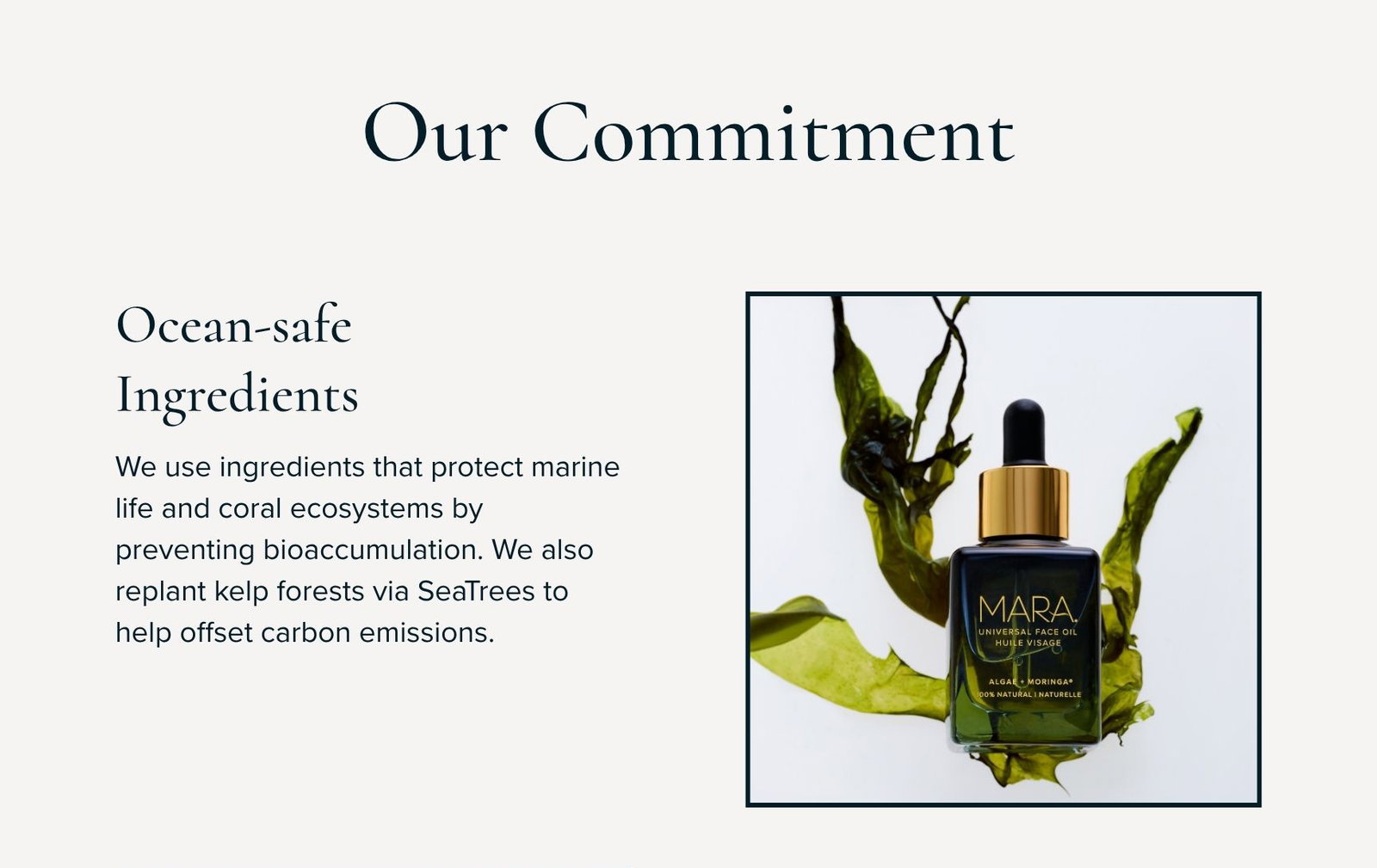 Our Commitment