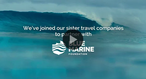 Exodus x Blue Marine Foundation 2026 Update - Video