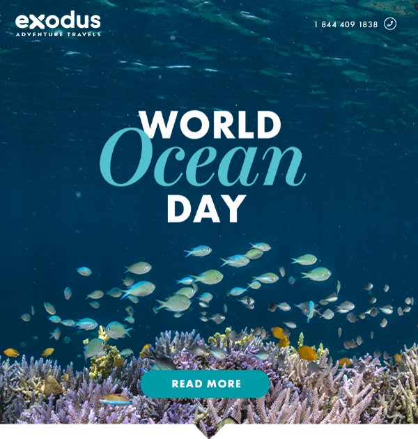 World Oceean Day