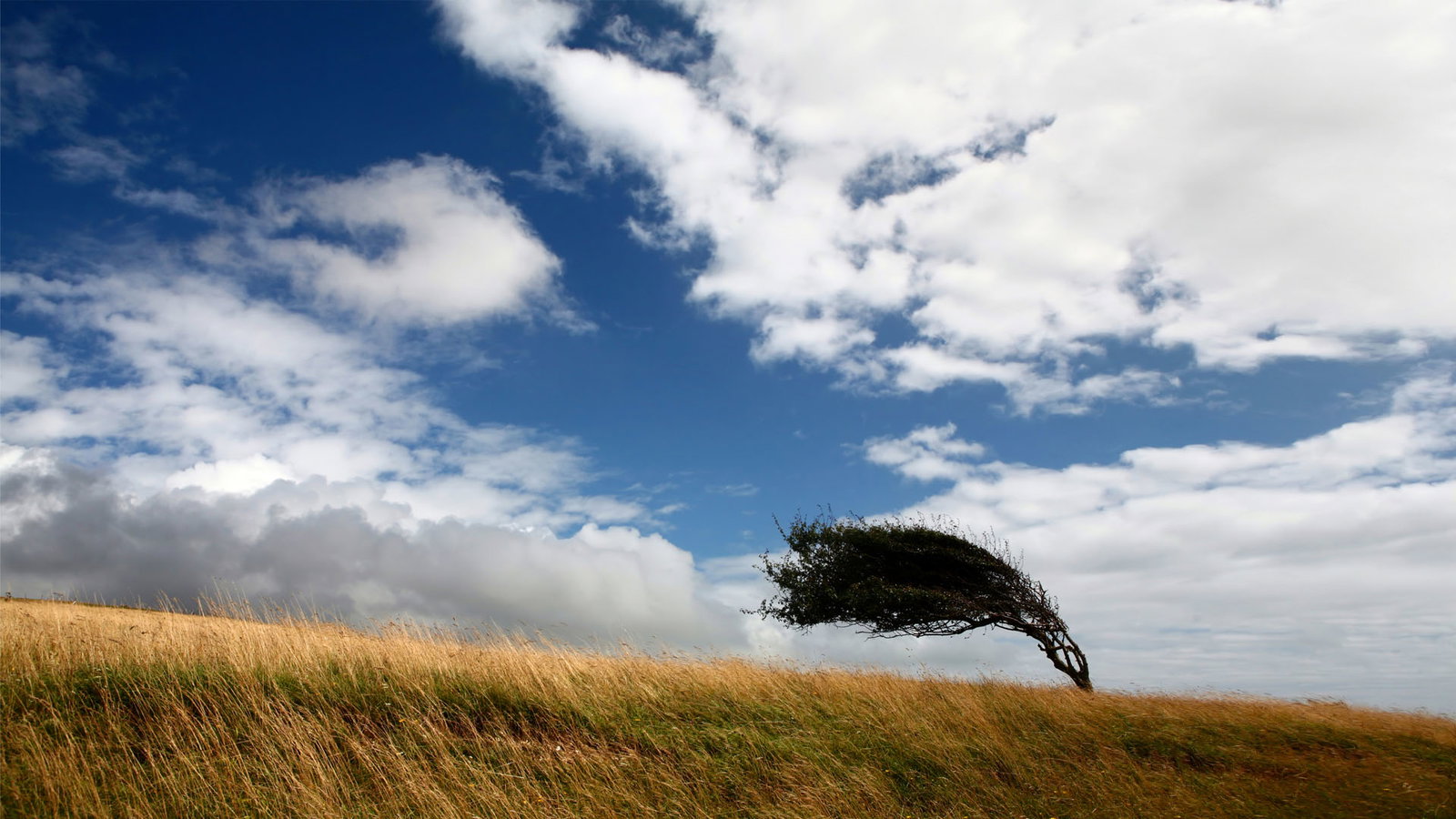 Nature image relating to the inspirational message