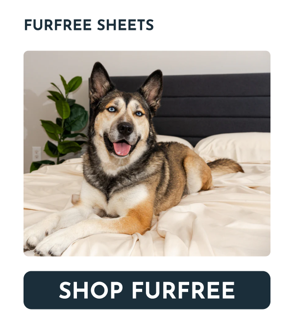 A person sleeping comfortably on a large, soft dog bed.