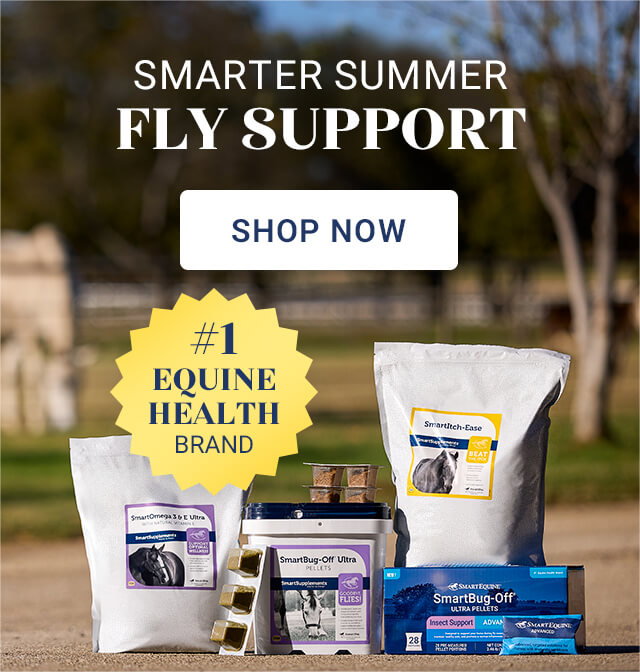 Smarter summer fly support. Shop now. 
