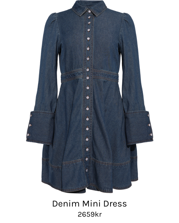 Image of Denim Mini Dress