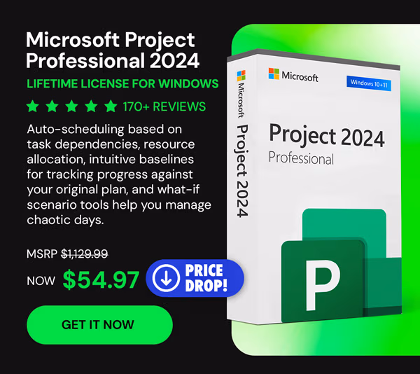 Microsoft Project Professional 2024: Lifetime License for Windows