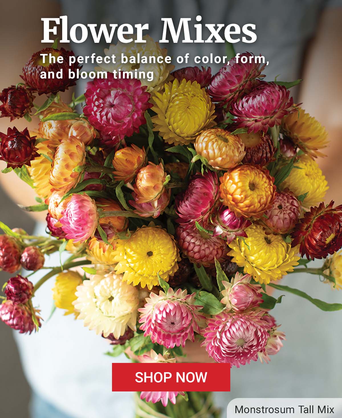 Flower Mixes, Thoughtfully Combined: Balanced blends of color, form, and bloom timing. Shop Now