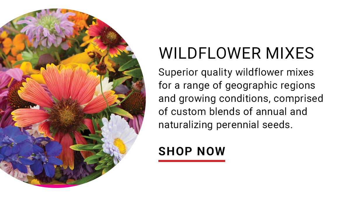 Wildflower Mixes