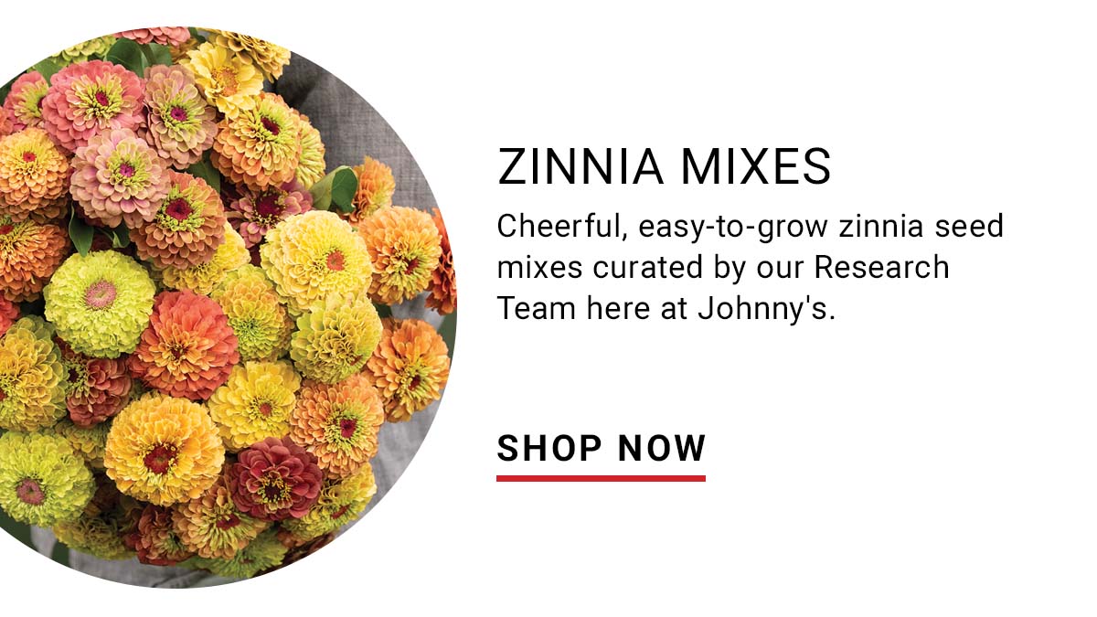 Zinnia Mixes