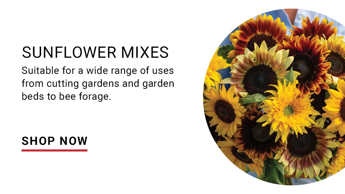 Sunflower Mixes