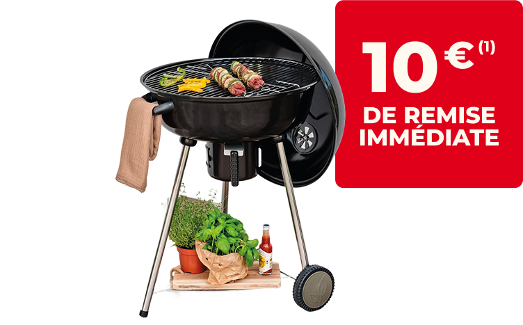 Barbecue charbon 