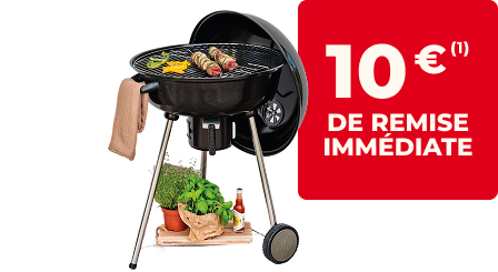 Barbecue charbon