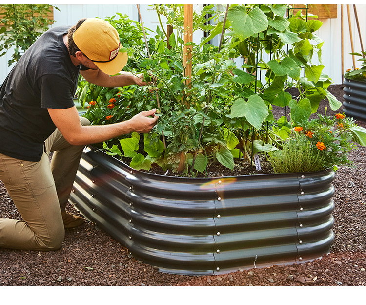 Container and Raised Beds