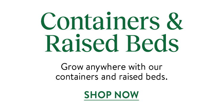 Container and Raised Beds