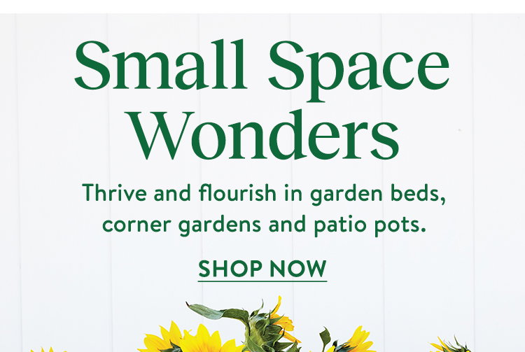 Container Friendly Vegetables Seeds and Plants