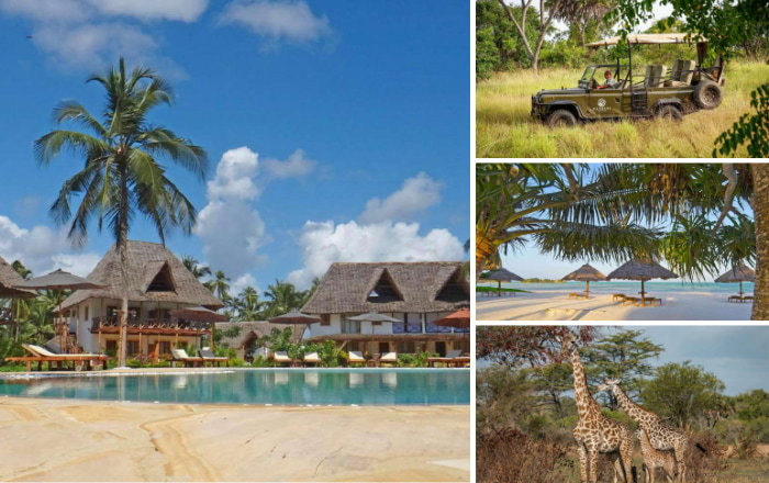 Tanzania Safari + Pongwe Bay Resort