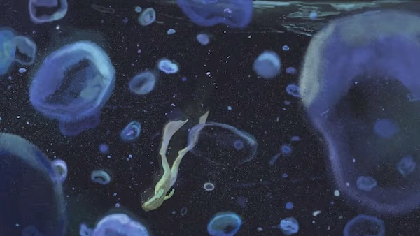 What freediving can reveal about human health — and our limits | ScienceNews