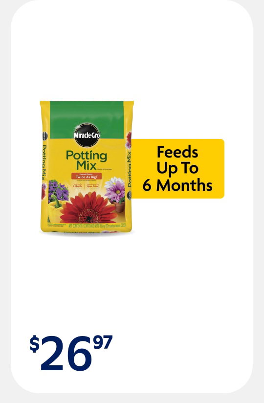 Display images to show real time content