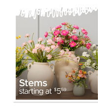 Stems