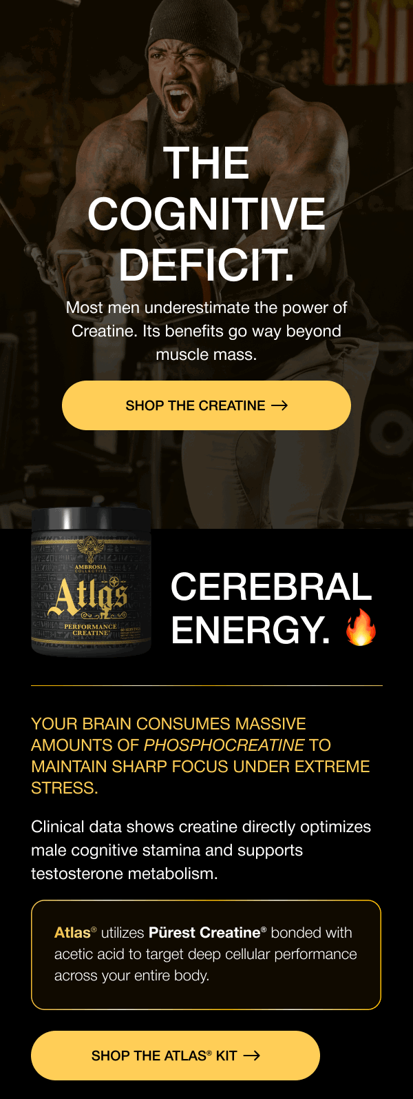 THE COGNITIVE DEFICIT. Most men underestimate the power of Creatine. Its benefits go way beyond muscle mass. SHOP the CREATINE   CEREBRAL ENERGY. 🔥 Your brain consumes massive amounts of phosphocreatine to maintain sharp focus under extreme stress. Clinical data shows creatine directly optimizes male cognitive stamina and supports testosterone metabolism. Atlas® utilizes Pürest Creatine® bonded with acetic acid to target deep cellular performance across your entire body. SHOP THE ATLAS® KIT 