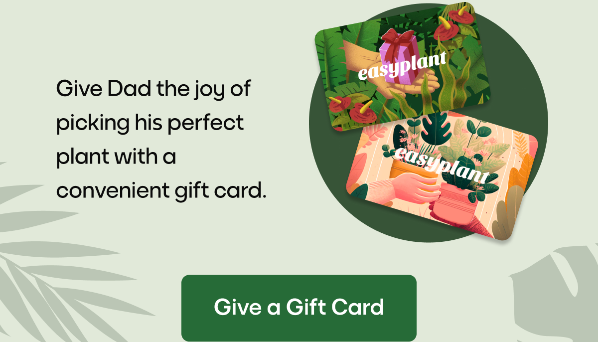 Give a Gift Card