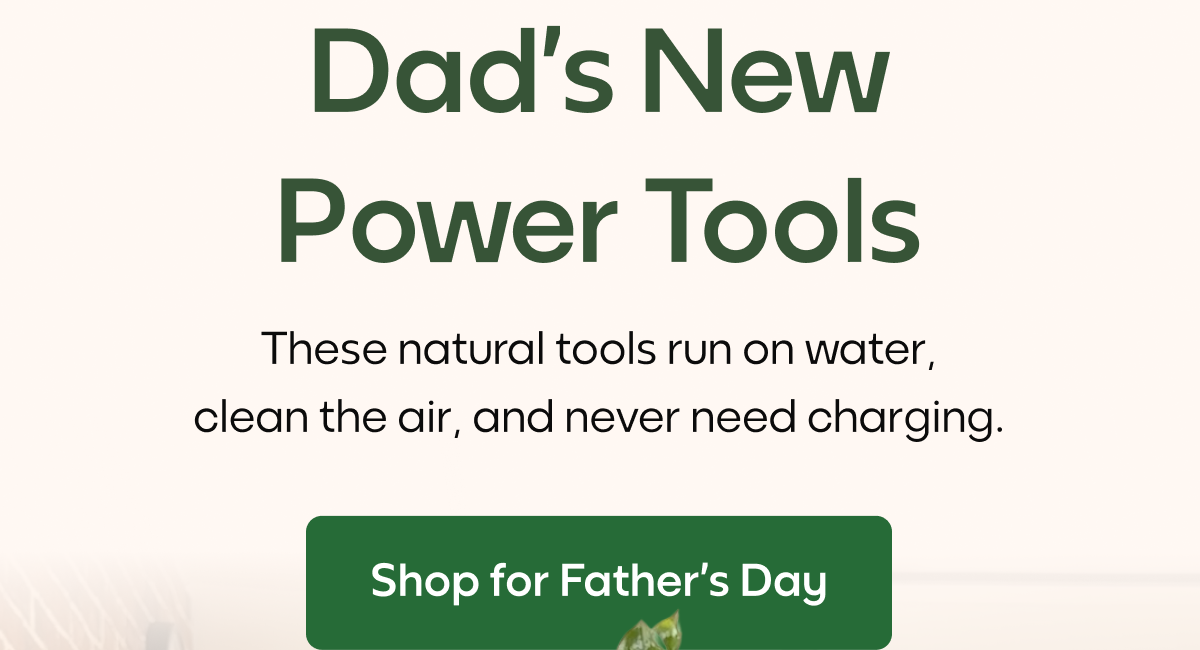 Dad’s New Power Tools