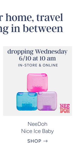 NeeDoh Nice Ice Baby (Assorted)